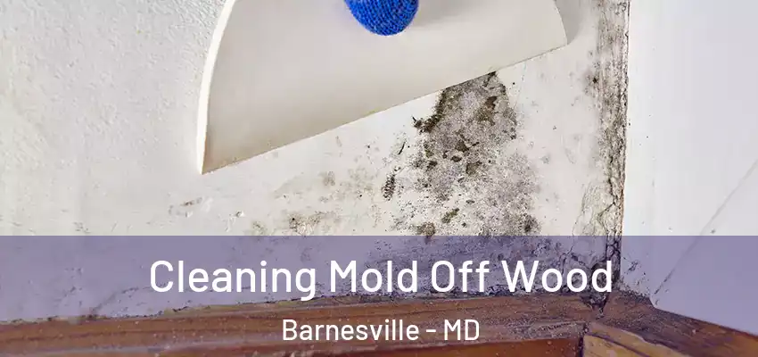  Cleaning Mold Off Wood Barnesville - MD