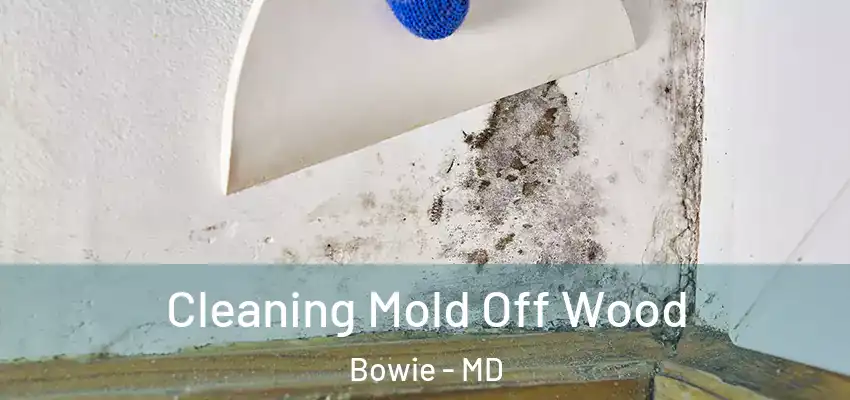  Cleaning Mold Off Wood Bowie - MD
