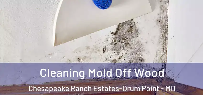Cleaning Mold Off Wood Chesapeake Ranch Estates-Drum Point - MD