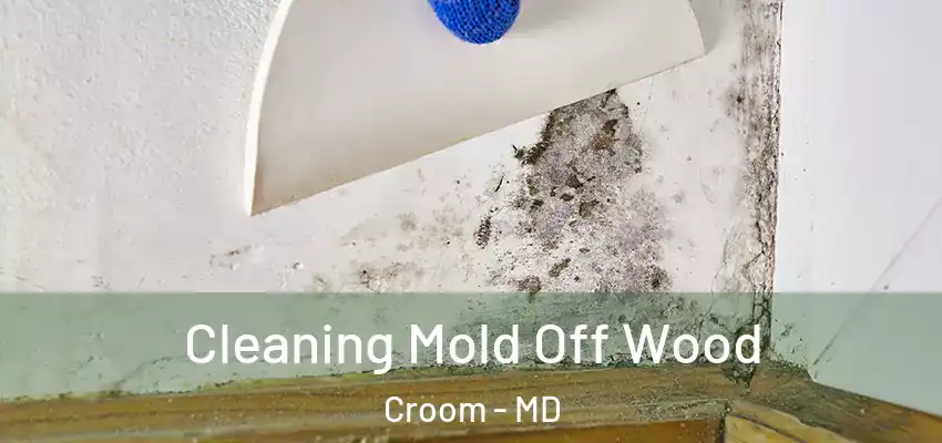  Cleaning Mold Off Wood Croom - MD