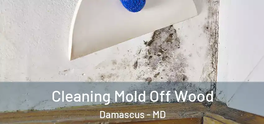  Cleaning Mold Off Wood Damascus - MD