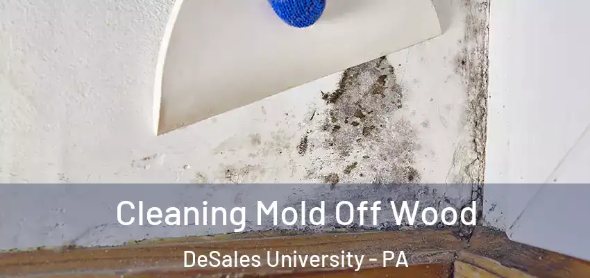 Cleaning Mold Off Wood DeSales University - PA