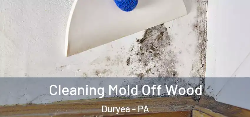 Cleaning Mold Off Wood Duryea - PA