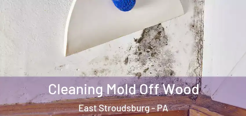 Cleaning Mold Off Wood East Stroudsburg - PA