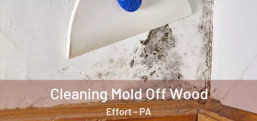 Cleaning Mold Off Wood Effort - PA