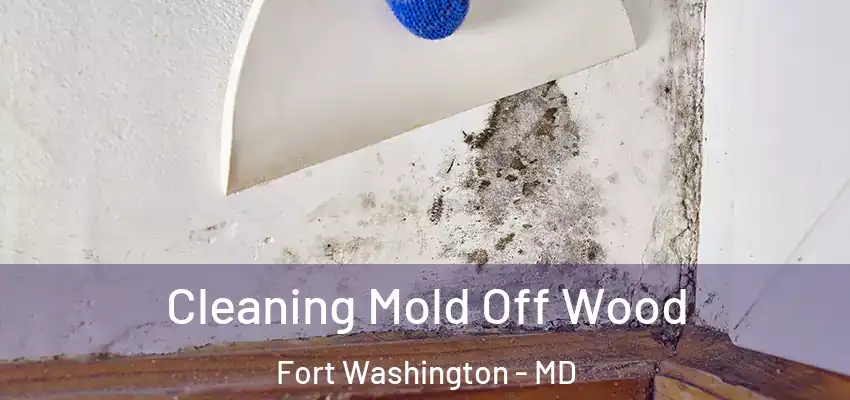  Cleaning Mold Off Wood Fort Washington - MD