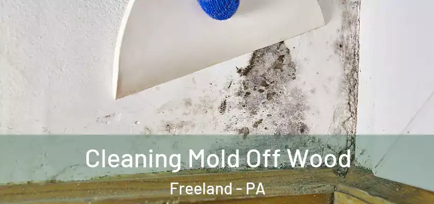 Cleaning Mold Off Wood Freeland - PA
