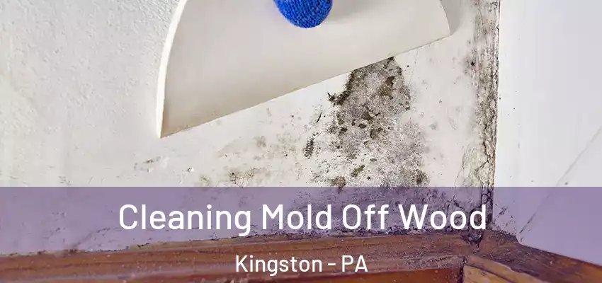 Cleaning Mold Off Wood Kingston - PA