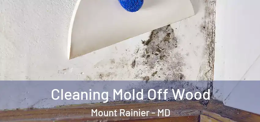 Cleaning Mold Off Wood Mount Rainier - MD