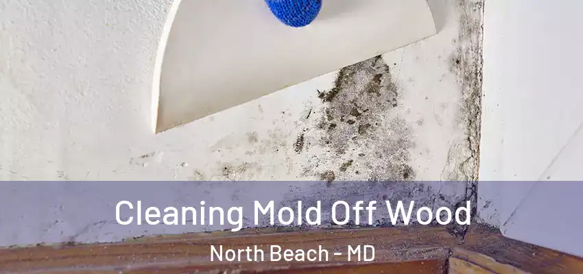Cleaning Mold Off Wood North Beach - MD