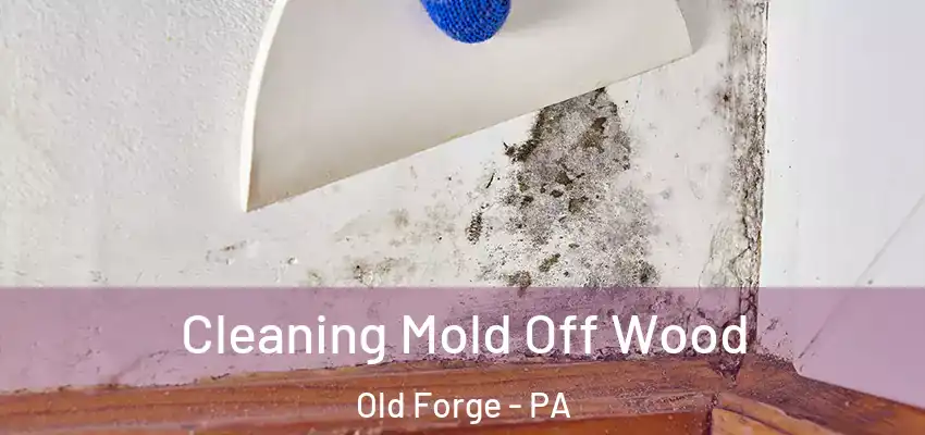 Cleaning Mold Off Wood Old Forge - PA