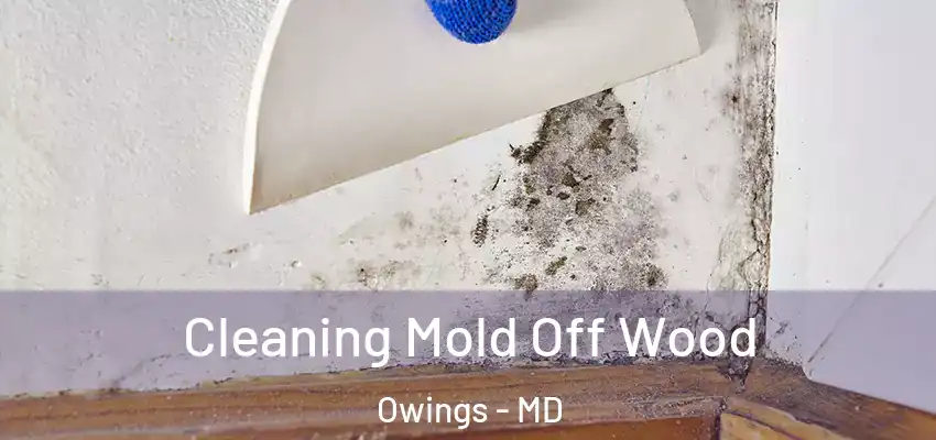 Cleaning Mold Off Wood Owings - MD