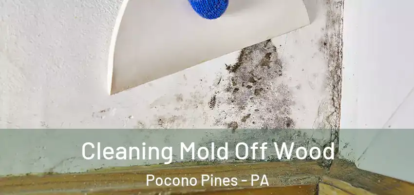  Cleaning Mold Off Wood Pocono Pines - PA