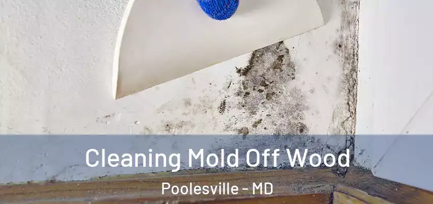  Cleaning Mold Off Wood Poolesville - MD