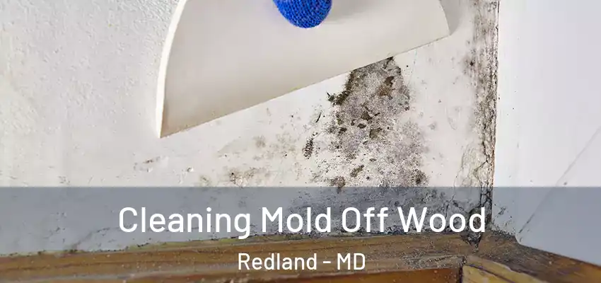 Cleaning Mold Off Wood Redland - MD