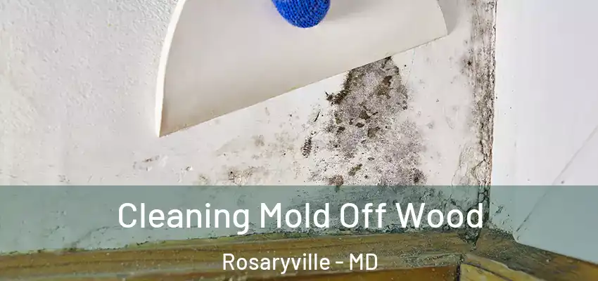  Cleaning Mold Off Wood Rosaryville - MD