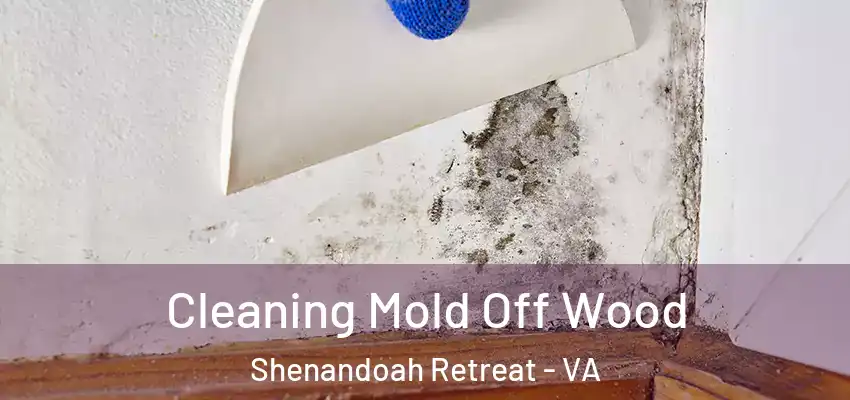  Cleaning Mold Off Wood Shenandoah Retreat - VA