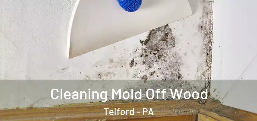 Cleaning Mold Off Wood Telford - PA