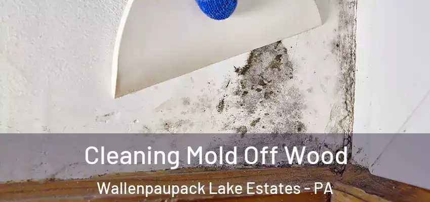 Cleaning Mold Off Wood Wallenpaupack Lake Estates - PA