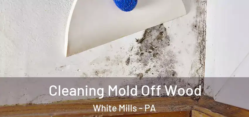 Cleaning Mold Off Wood White Mills - PA