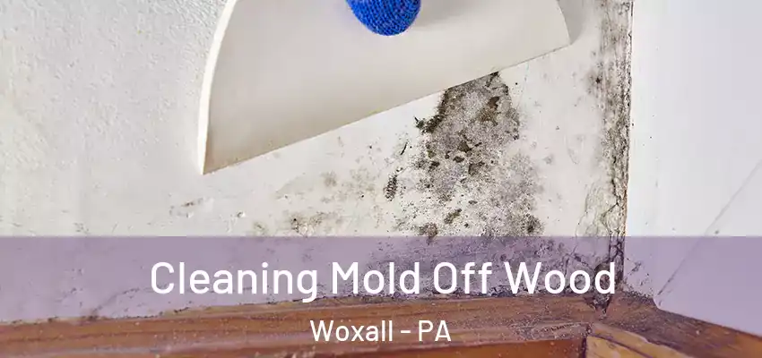 Cleaning Mold Off Wood Woxall - PA