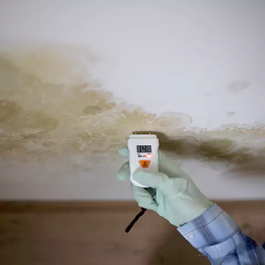 Reliable Mold Inspection Experts in Reston, VA