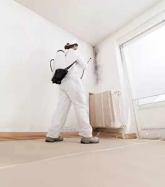 Specialists in All Areas of Mold Remediation and Water Damage Restoration in Reston, VA