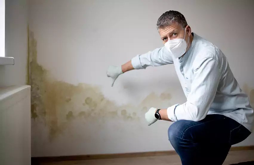 Mold Removal in Reston, VA