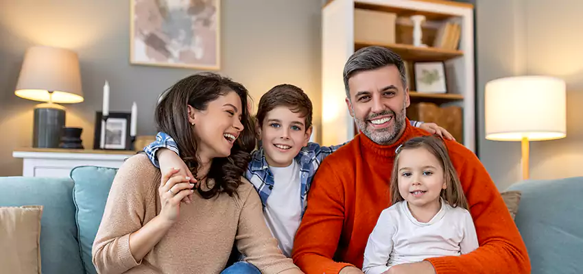 Best House Wash for Mold and Mildew Reston