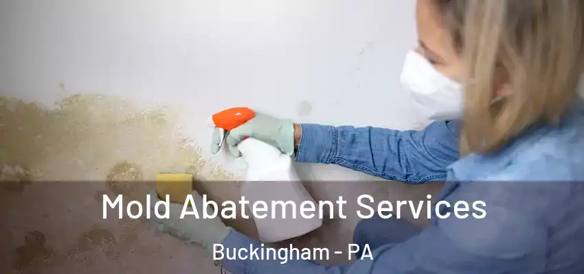 Mold Abatement Services Buckingham - PA