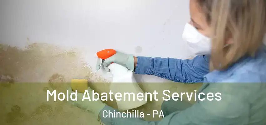  Mold Abatement Services Chinchilla - PA