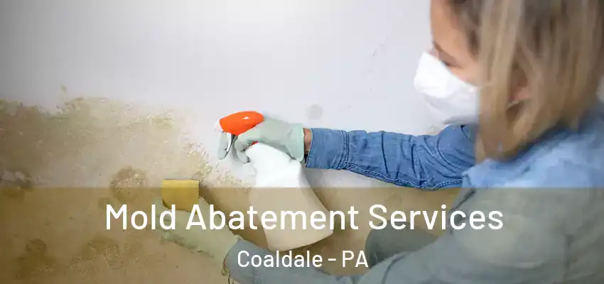  Mold Abatement Services Coaldale - PA