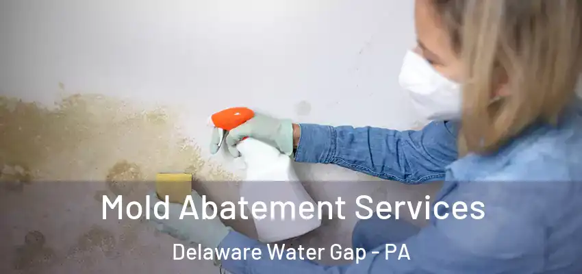 Mold Abatement Services Delaware Water Gap - PA