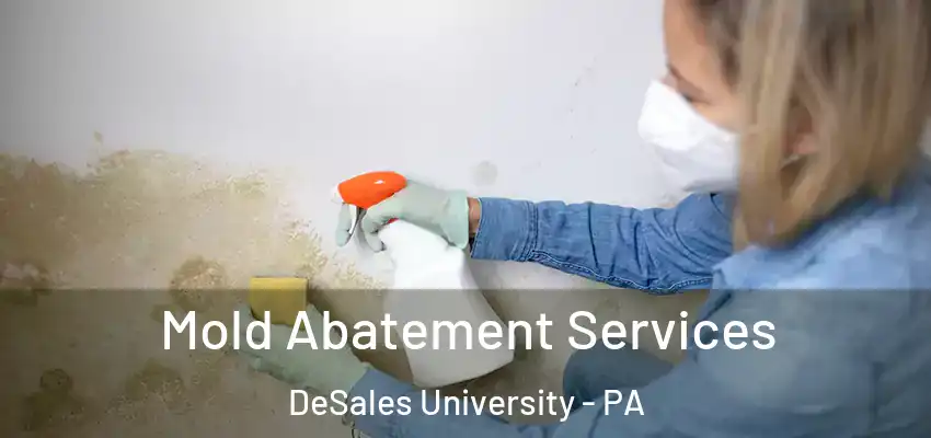 Mold Abatement Services DeSales University - PA