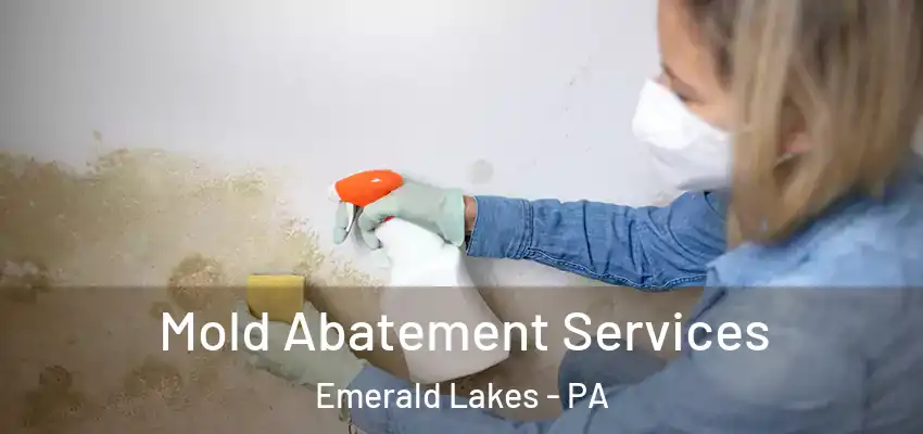 Mold Abatement Services Emerald Lakes - PA