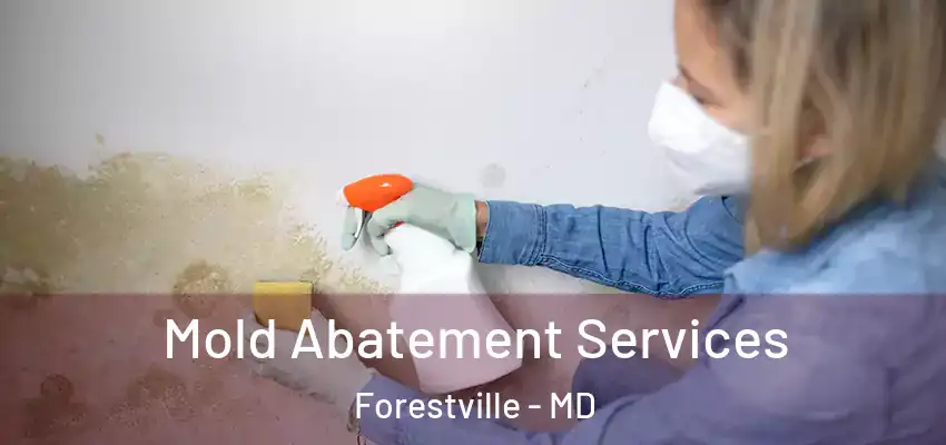  Mold Abatement Services Forestville - MD