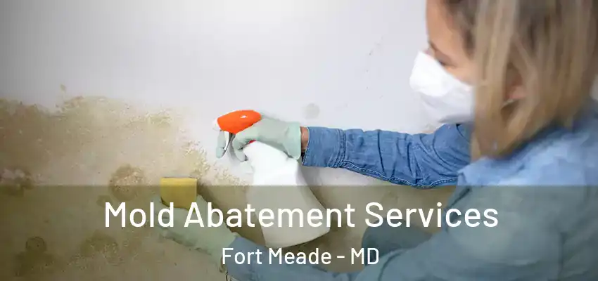 Mold Abatement Services Fort Meade - MD