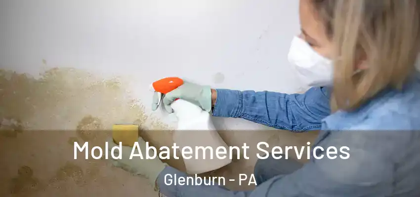 Mold Abatement Services Glenburn - PA