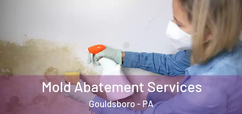  Mold Abatement Services Gouldsboro - PA