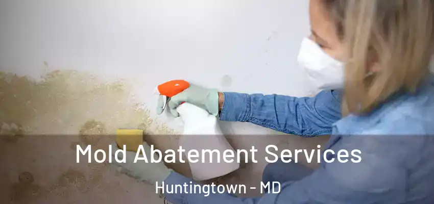 Mold Abatement Services Huntingtown - MD