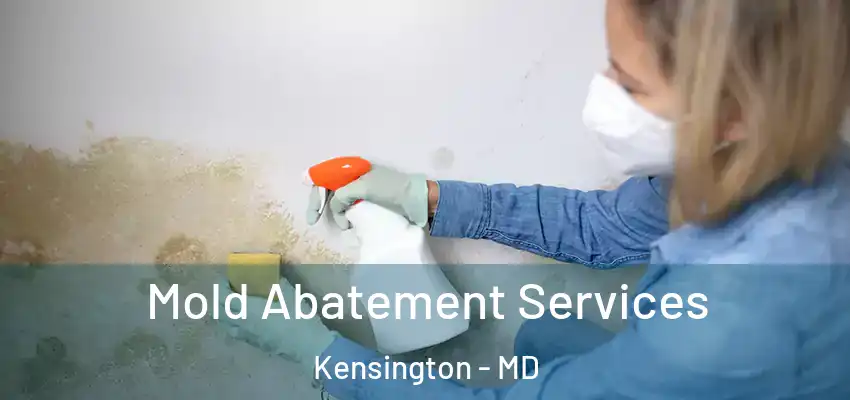  Mold Abatement Services Kensington - MD