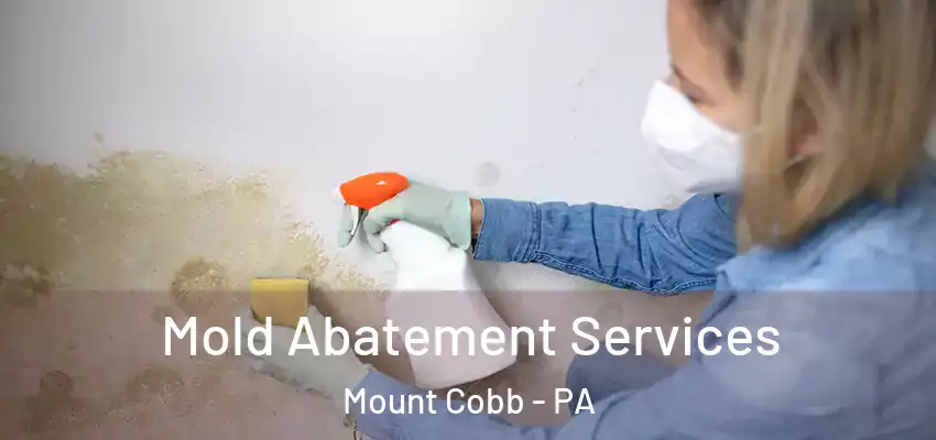  Mold Abatement Services Mount Cobb - PA