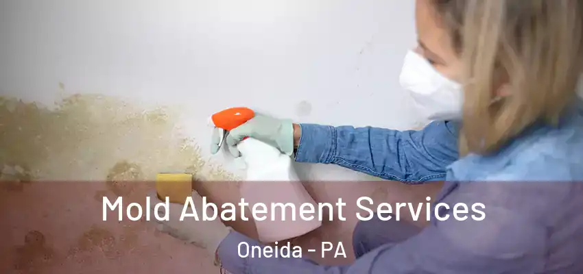 Mold Abatement Services Oneida - PA