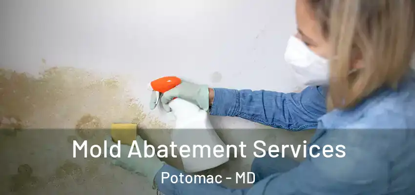 Mold Abatement Services Potomac - MD
