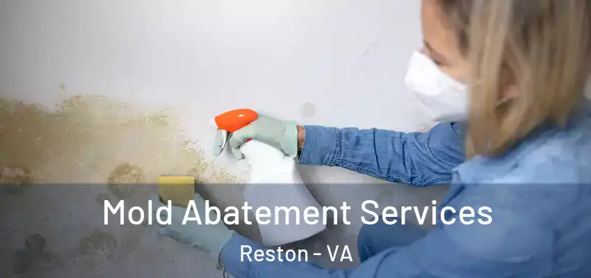 Mold Abatement Services Reston - VA