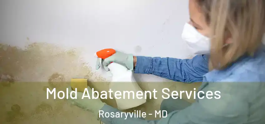 Mold Abatement Services Rosaryville - MD
