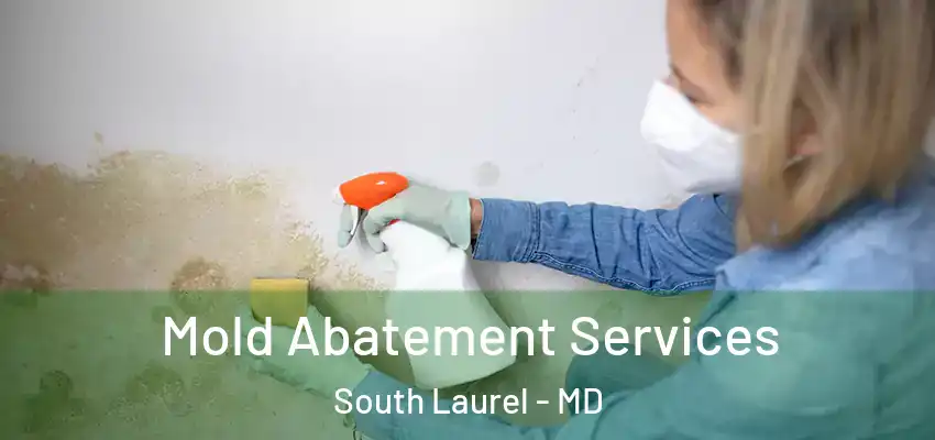 Mold Abatement Services South Laurel - MD
