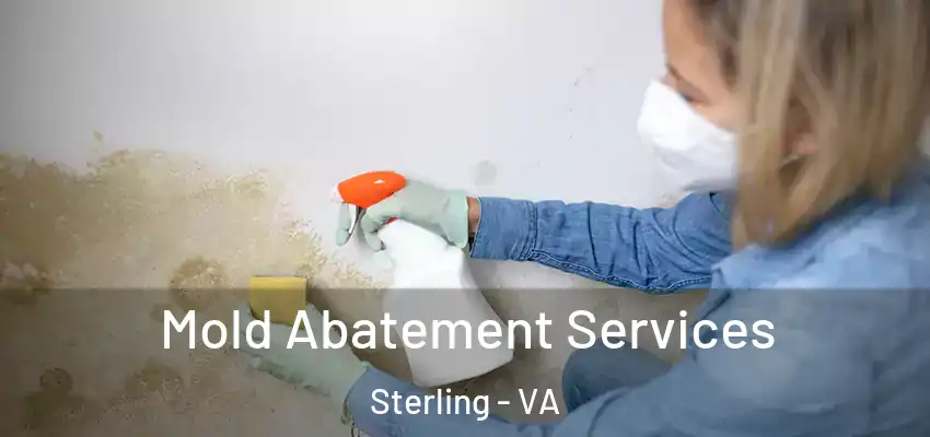 Mold Abatement Services Sterling - VA
