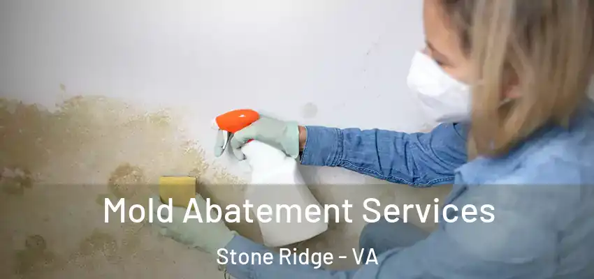  Mold Abatement Services Stone Ridge - VA