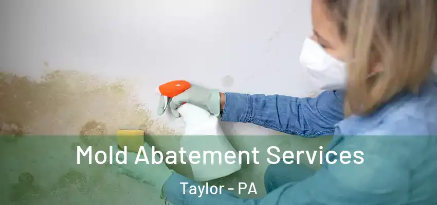  Mold Abatement Services Taylor - PA